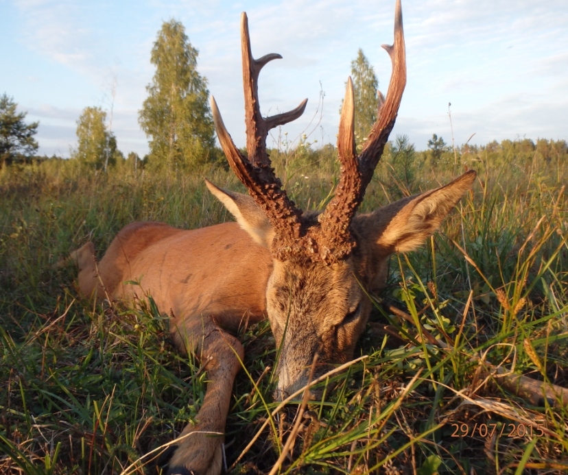 hunter-5232250 - copy