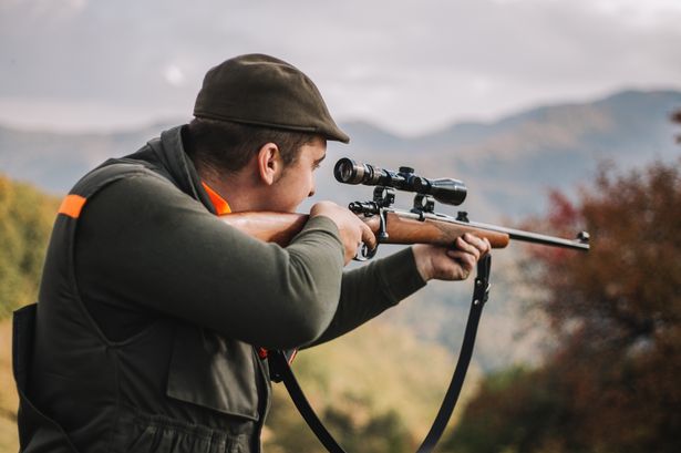 0_Hunter-aiming-wild-boar-portrait