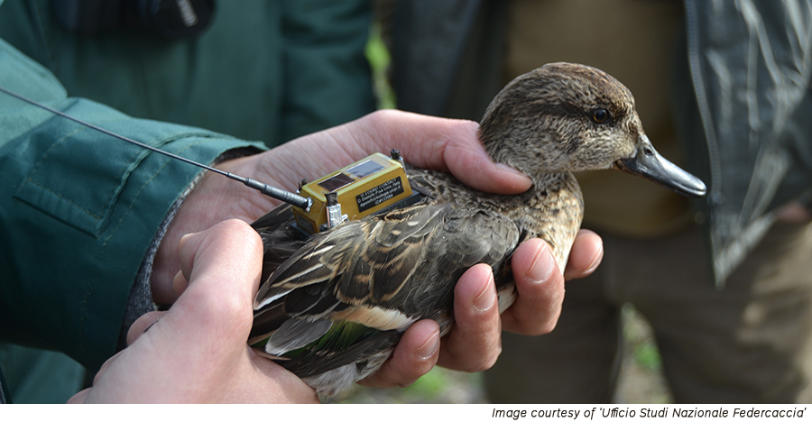 hunters_monitoring_biodiversity_9