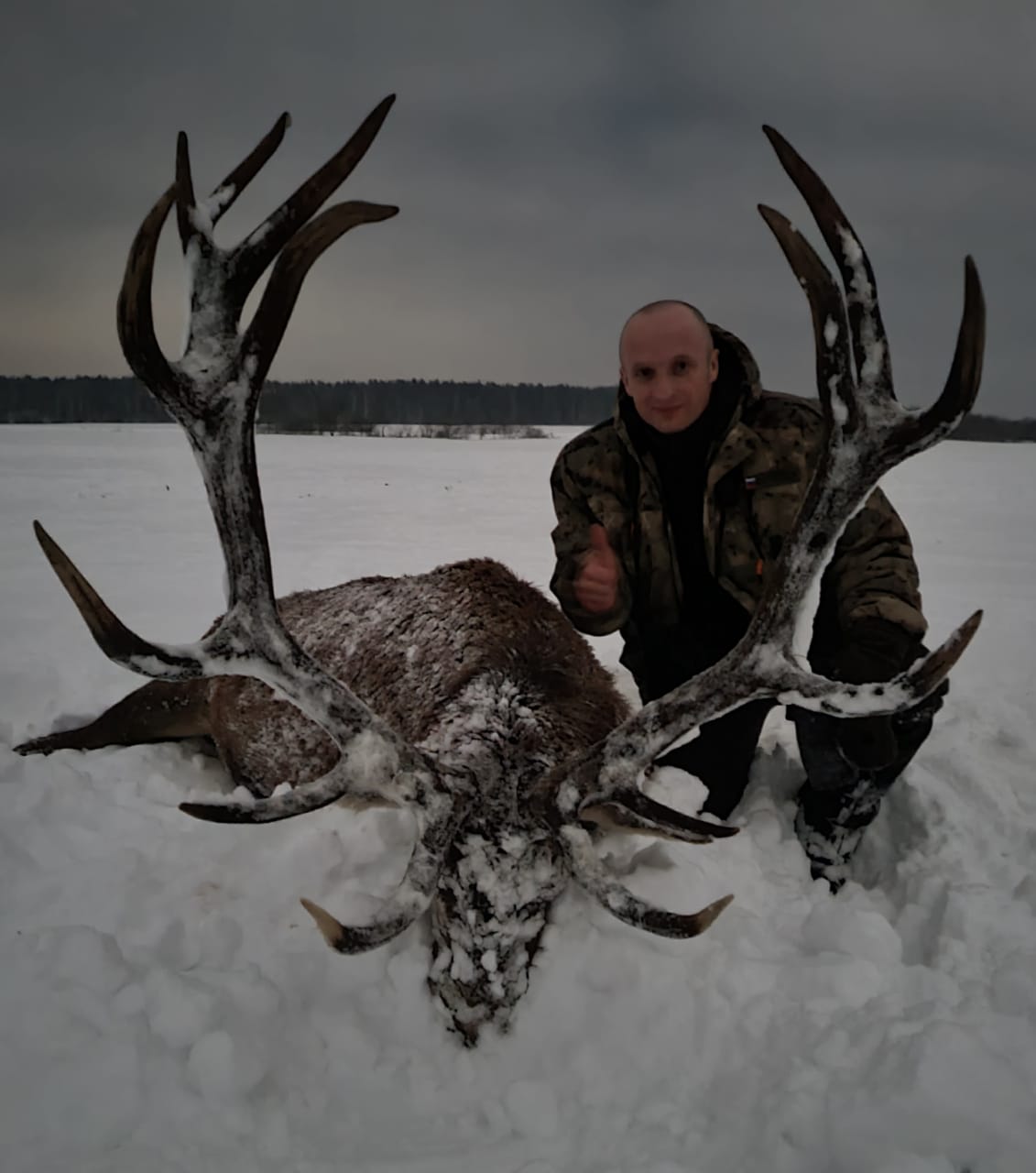 шкапцов 229.73