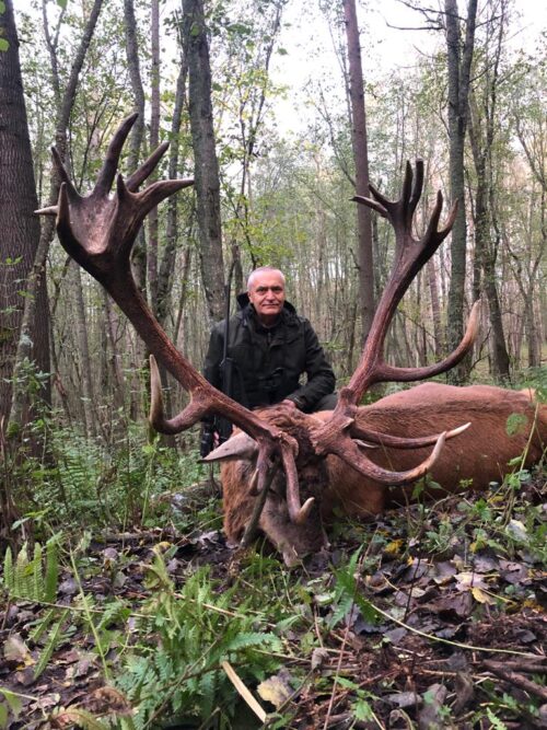 олень воробей 250