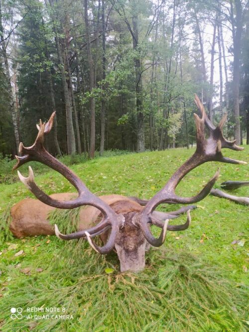 Воробей Н.Н.- Красный бор - 254.27 балла